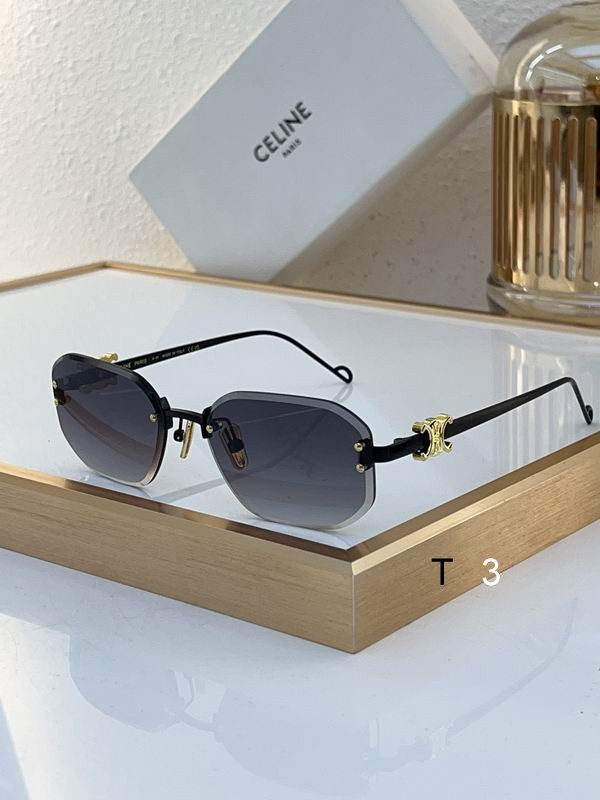 Celine Sunglasses ID:20240804-33